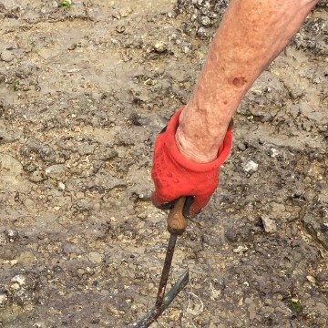 outil piochon pêche à pied