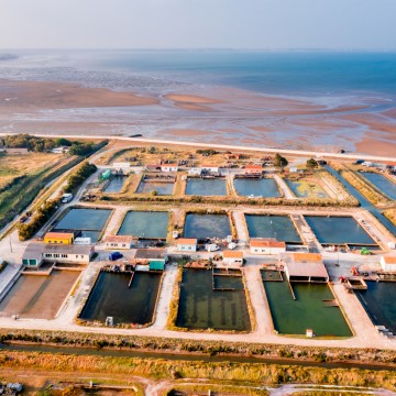 Marais ostreicoles vu du ciel