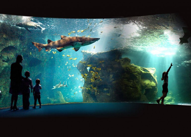 AQUARIUM LA ROCHELLE AQUARIUM LA ROCHELLE