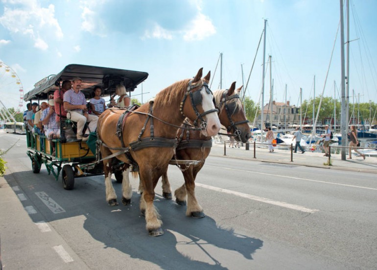 LA ROCHELLE AU PAS DES CHEVAUX... LA ROCHELLE AU PAS DES CHEVAUX...
