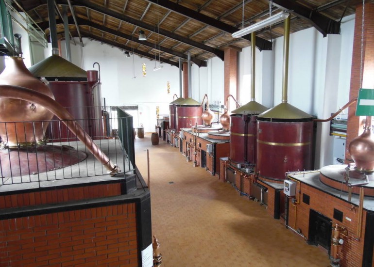 LES VIGNERONS DE L'ILE DE RE LES VIGNERONS DE L'ILE DE RE