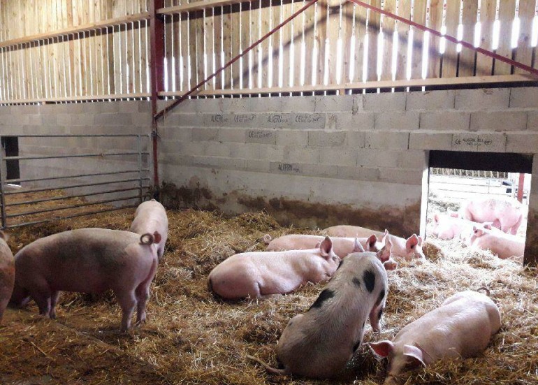 la ferme des coutures