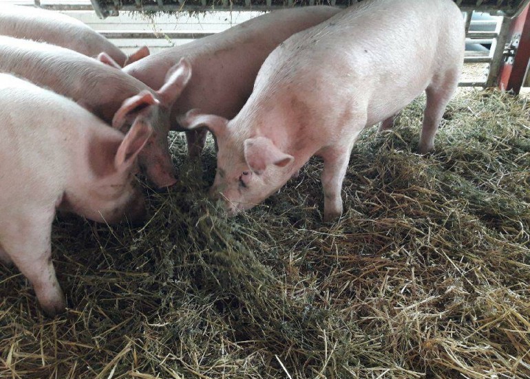 la ferme des coutures