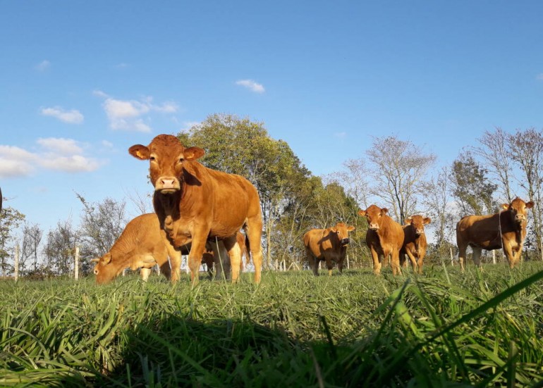 la ferme des coutures