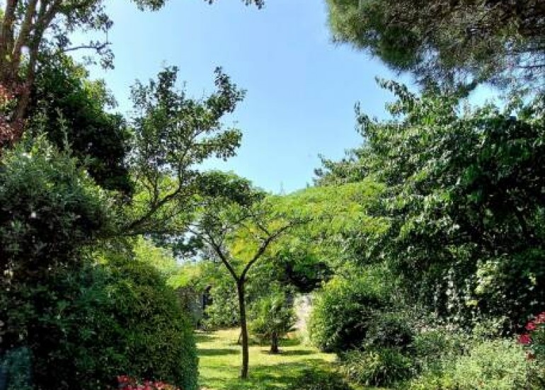 Le jardin