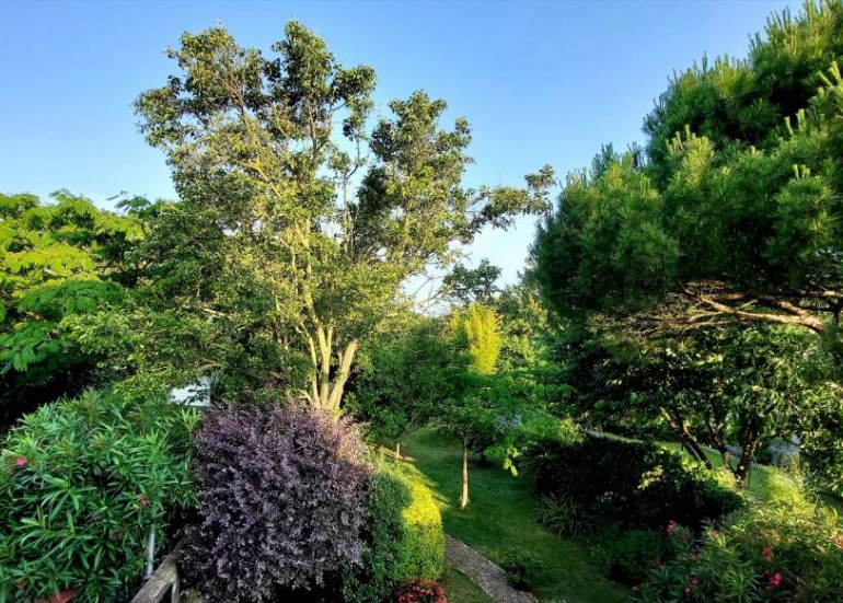 Vue de la chambre d’hôtes