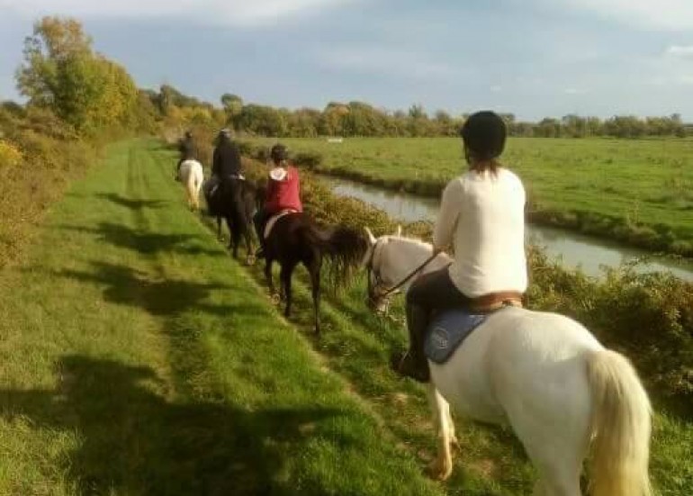 Reitsportzentrum Le Marais en Selle Reitsportzentrum Le Marais en Selle