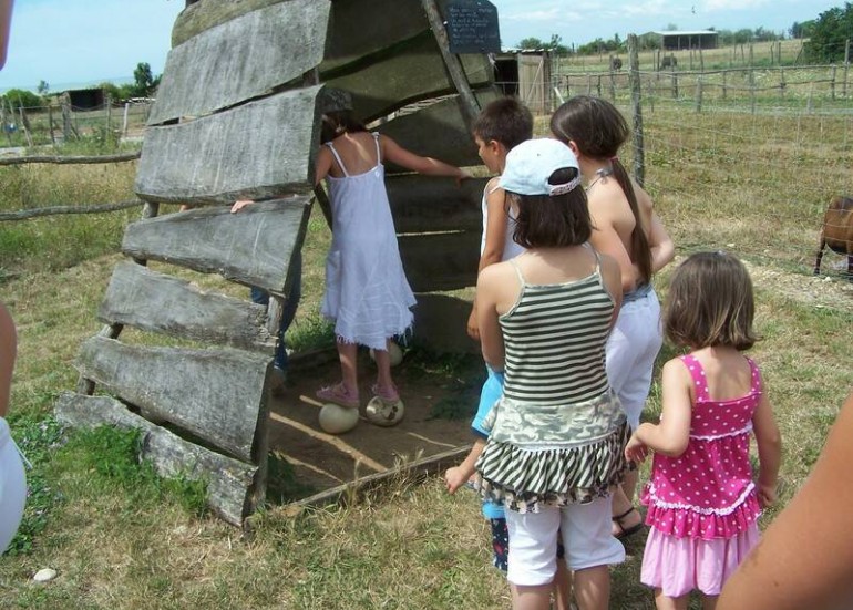 Ferme pédagogique - L'Autruche de Laurette