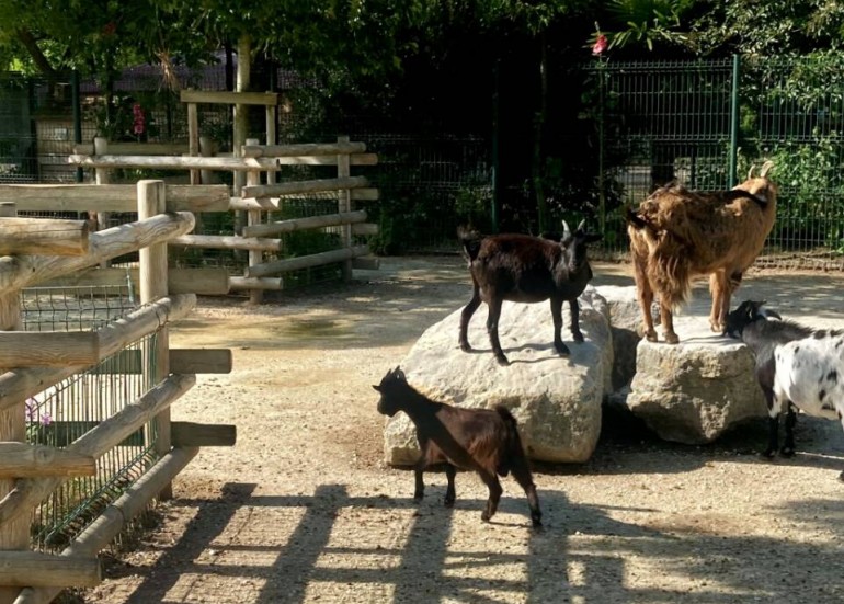 Parc Charles Edouard Beltremieux