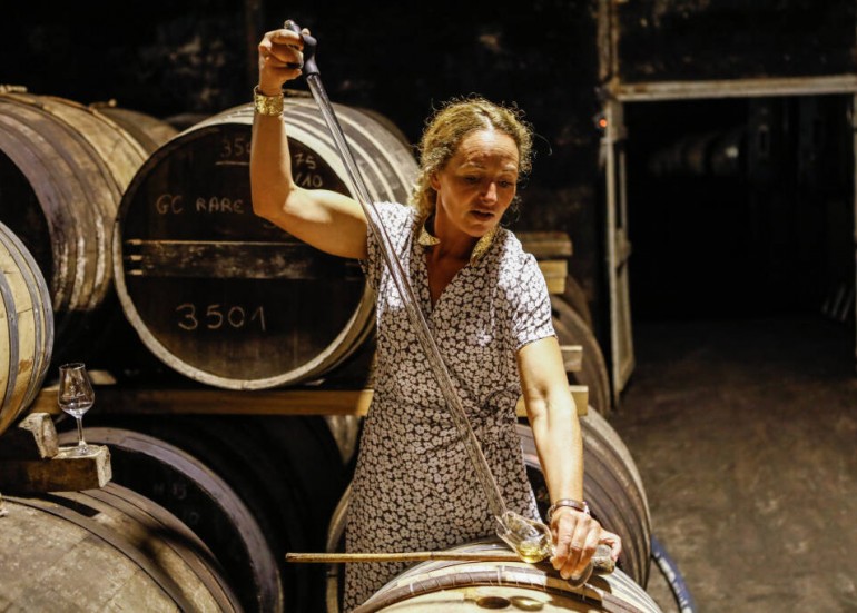 Visite et dégustation de Coganc et Pineaux des Charentes à côté de La Rochelle