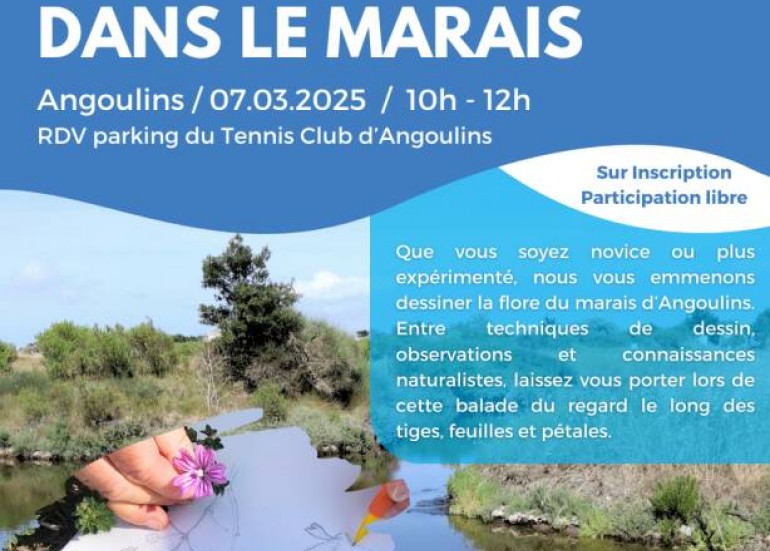 Sortie Nature - Croquis Botanique dans le Marais_La Rochelle
