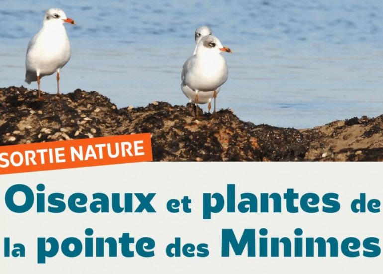 Visite guidée - A la découverte de la biodiversité du port_La Rochelle