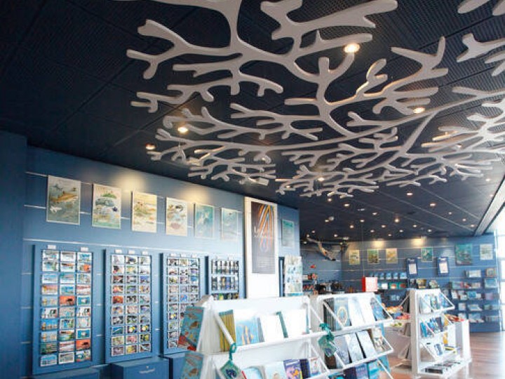 Mémoires d'océans - La boutique de l'aquarium