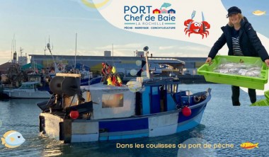 Visite guidée - Un matin à la criée_La Rochelle