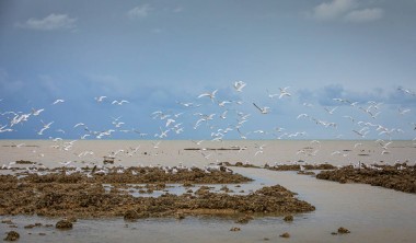 Paysage du littoral